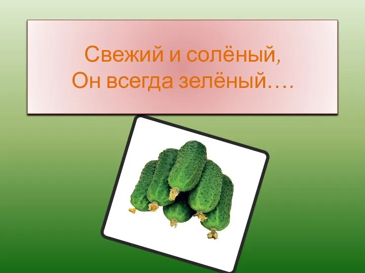 Свежий и солёный, Он всегда зелёный….