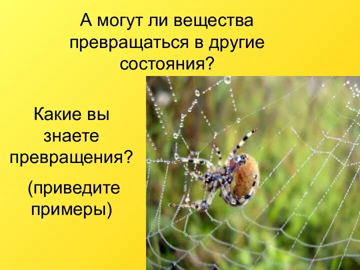 А могут ли вещества превращаться в другие состояния? Какие вы знаете превращения? (приведите примеры)