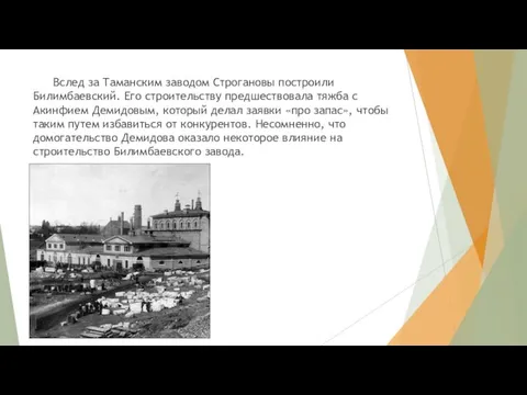 Вслед за Таманским заводом Строгановы построили Билимбаевский. Его строительству предшествовала