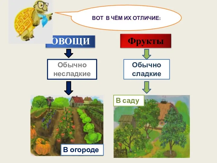 Обычно несладкие Обычно сладкие Вот в чём их отличие: В огороде В саду