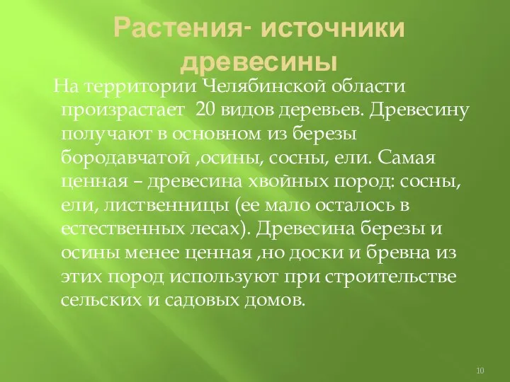 Растения- источники древесины На территории Челябинской области произрастает 20 видов деревьев. Древесину получают