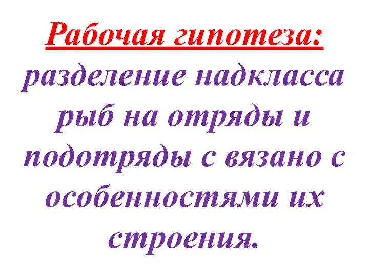 Рабочая гипотеза: разделение надкласса рыб на отряды и подотряды с вязано с особенностями их строения.