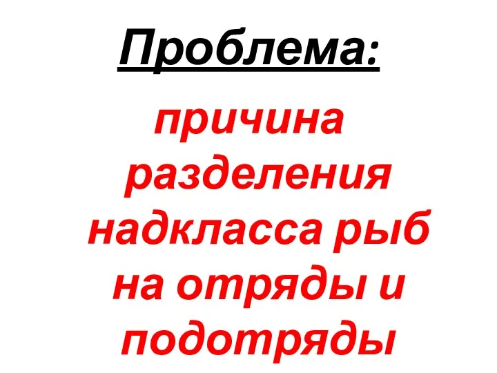 Проблема: причина разделения надкласса рыб на отряды и подотряды