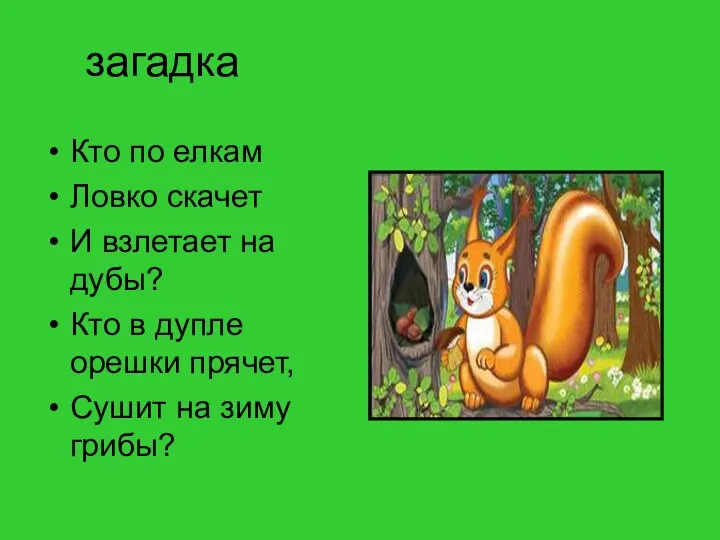 загадка Кто по елкам Ловко скачет И взлетает на дубы?