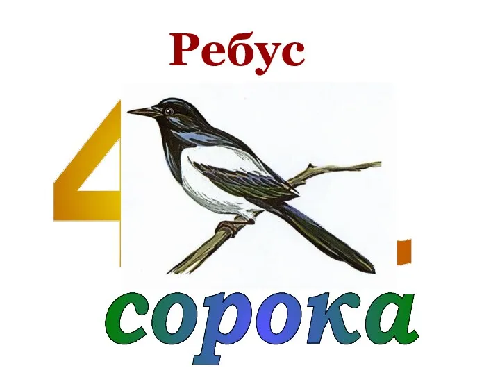 40 а сорока Ребус