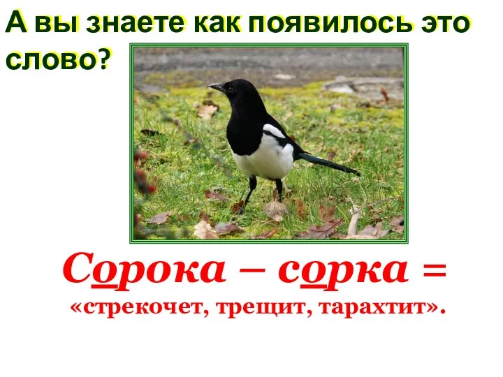 А вы знаете как появилось это слово? Сорока – сорка = «стрекочет, трещит, тарахтит».