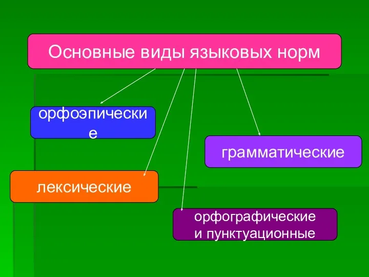 Основные виды языковых норм орфоэпические грамматические лексические орфографические и пунктуационные