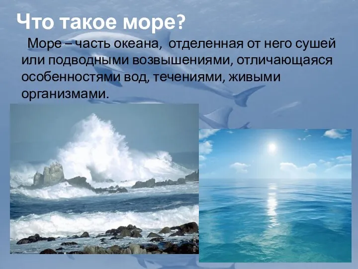 Что такое море? Море – часть океана, отделенная от него