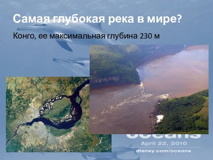 Самая глубокая река в мире? Конго, ее максимальная глубина 230 м