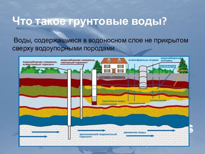 Что такое грунтовые воды? Воды, содержащиеся в водоносном слое не прикрытом сверху водоупорными породами