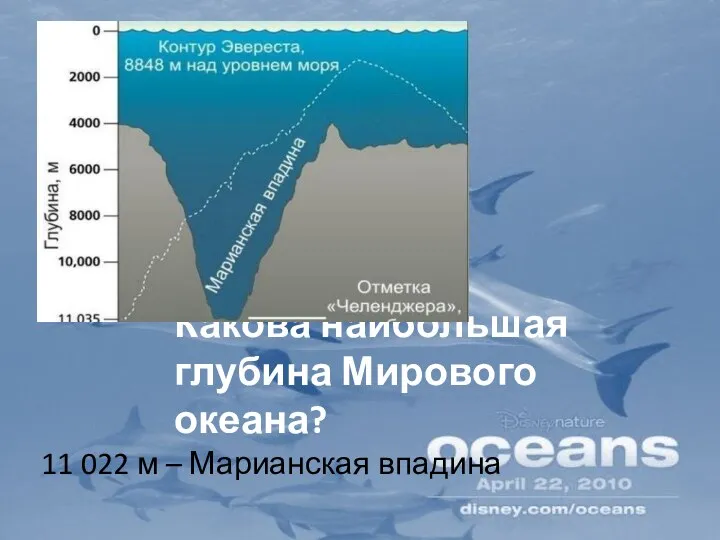 Какова наибольшая глубина Мирового океана? 11 022 м – Марианская впадина