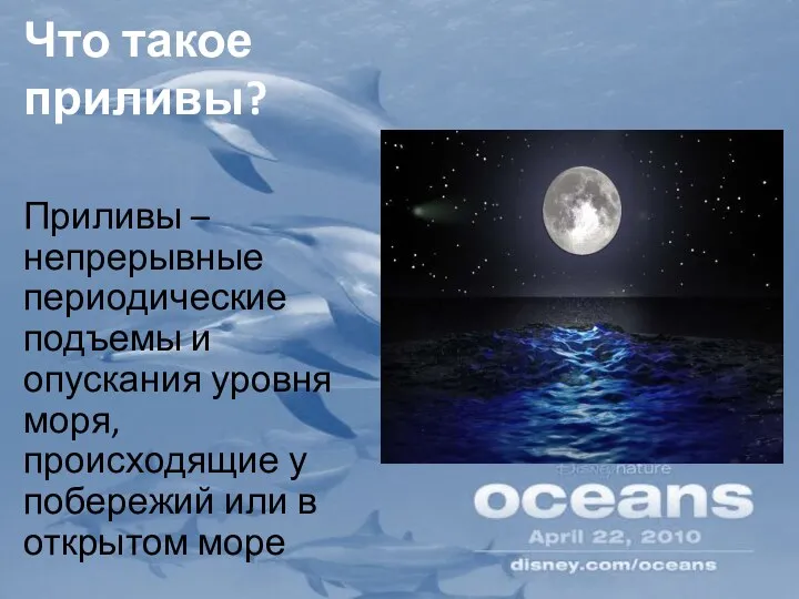 Что такое приливы? Приливы – непрерывные периодические подъемы и опускания