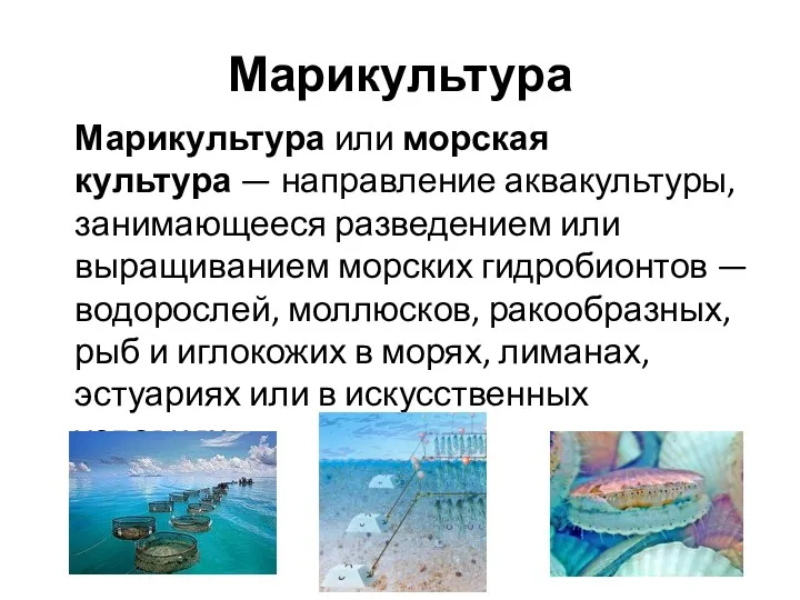 Марикультура Марикультура или морская культура — направление аквакультуры, занимающееся разведением или выращиванием морских