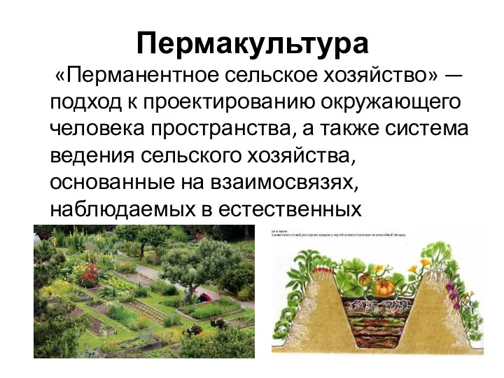 Пермакультура «Перманентное сельское хозяйство» — подход к проектированию окружающего человека пространства, а также