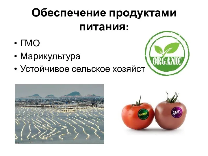 Обеспечение продуктами питания: ГМО Марикультура Устойчивое сельское хозяйство
