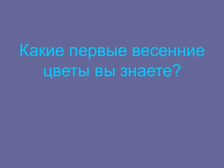 Какие первые весенние цветы вы знаете?