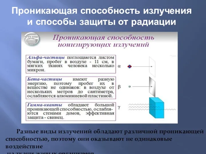 Проникающая способность излучения и способы защиты от радиации Разные виды