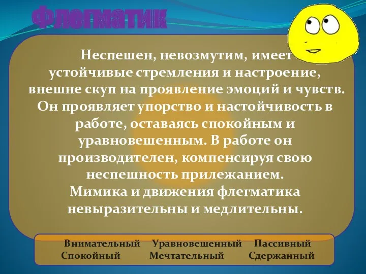 Флегматик Неспешен, невозмутим, имеет устойчивые стремления и настроение, внешне скуп