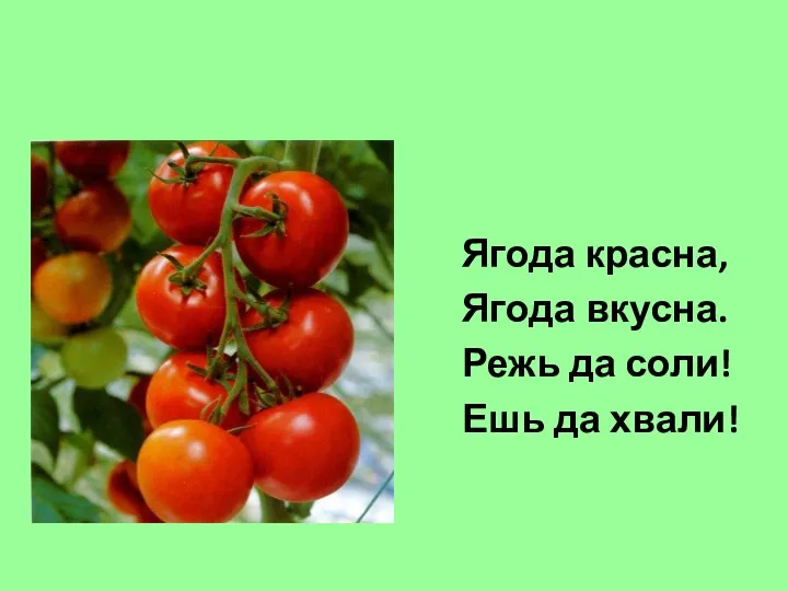 Ягода красна, Ягода вкусна. Режь да соли! Ешь да хвали!