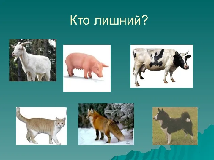 Кто лишний?