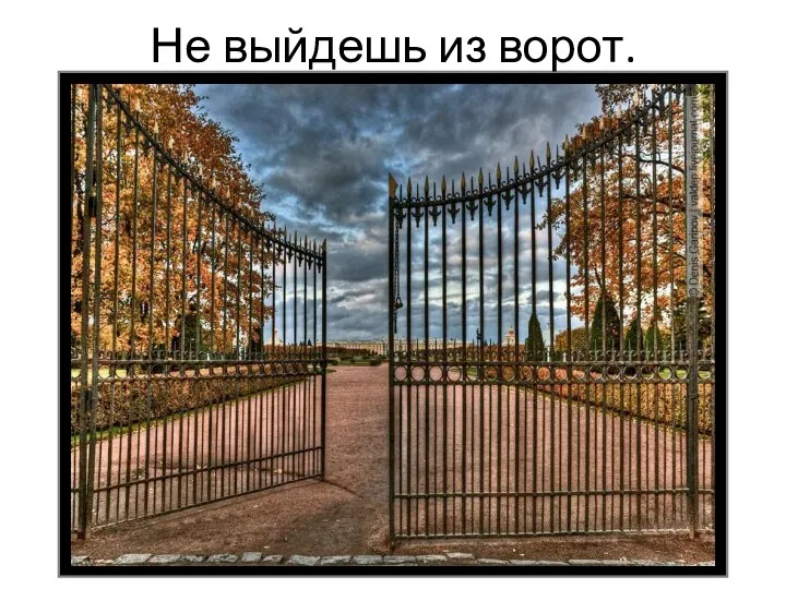 Не выйдешь из ворот.