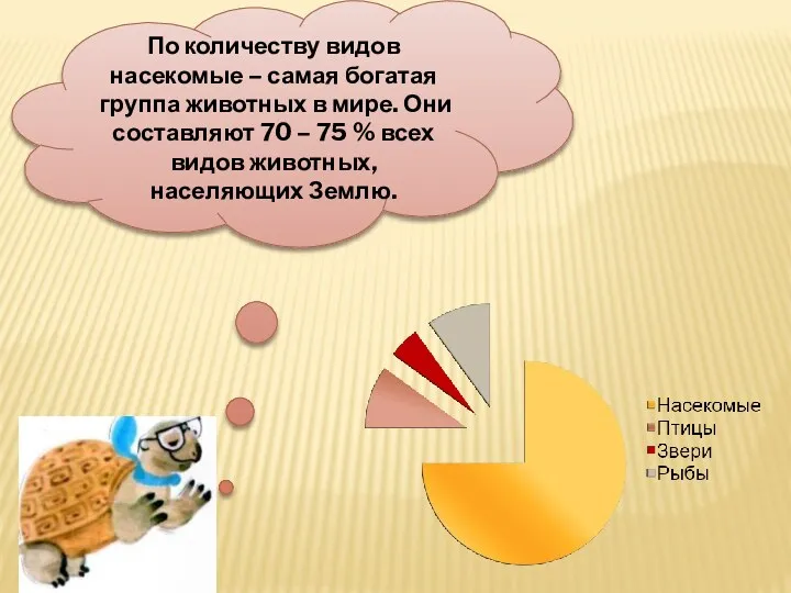 По количеству видов насекомые – самая богатая группа животных в мире. Они составляют