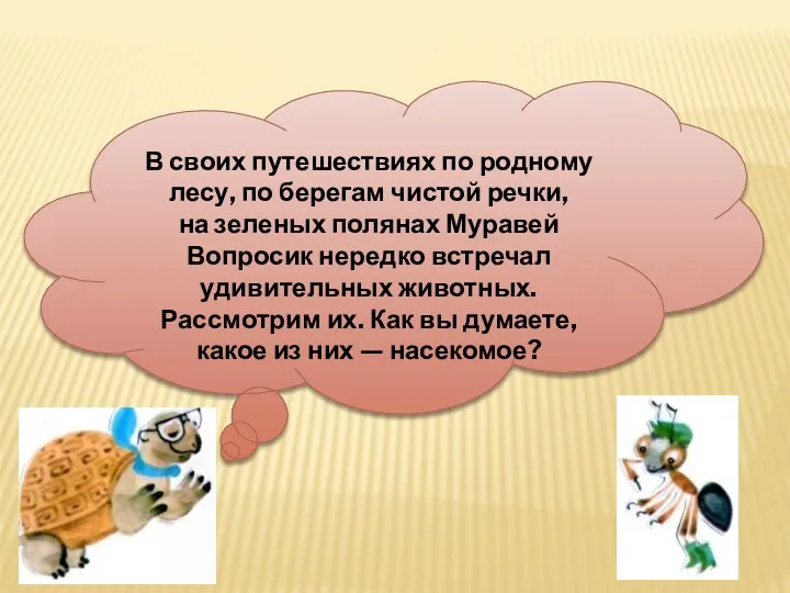 В своих путешествиях по родному лесу, по берегам чистой речки, на зеленых полянах