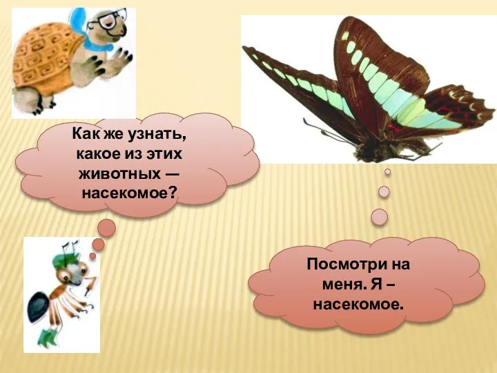 Как же узнать, какое из этих животных — насекомое? Посмотри на меня. Я – насекомое.