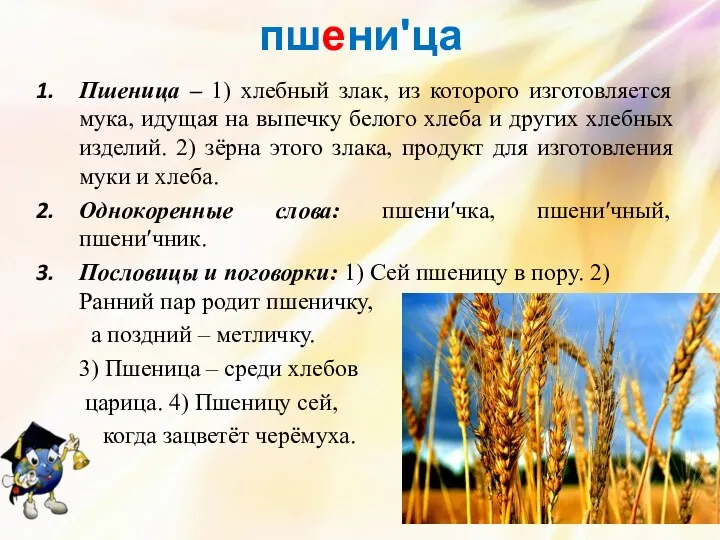 пшениʹца Пшеница – 1) хлебный злак, из которого изготовляется мука, идущая на выпечку