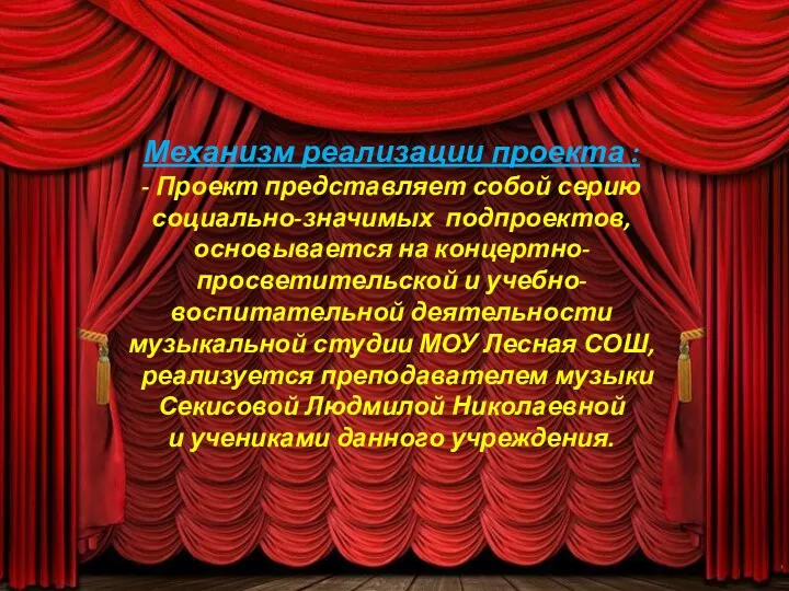 Механизм реализации проекта : - Проект представляет собой серию социально-значимых