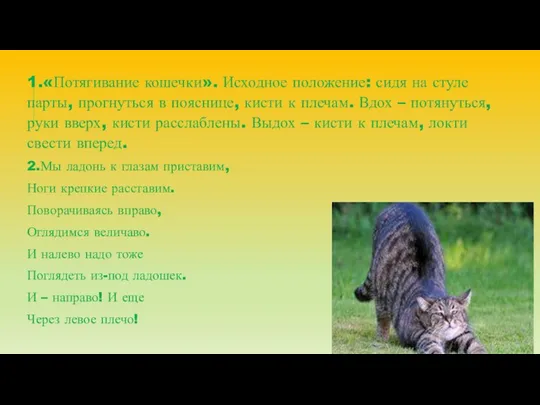 1.«Потягивание кошечки». Исходное положение: сидя на стуле парты, прогнуться в