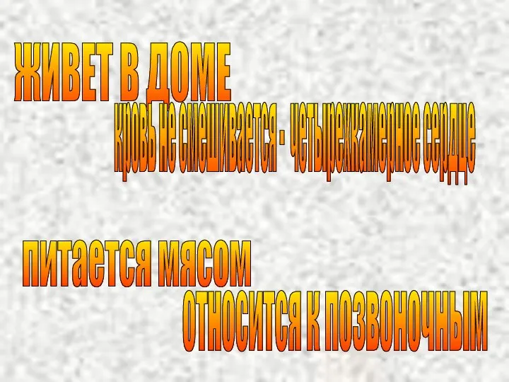 ЖИВЕТ В ДОМЕ кровь не смешивается - четырехкамерное сердце питается мясом относится к позвоночным