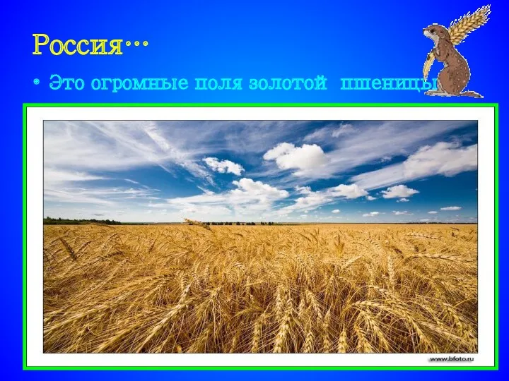 Россия… Это огромные поля золотой пшеницы