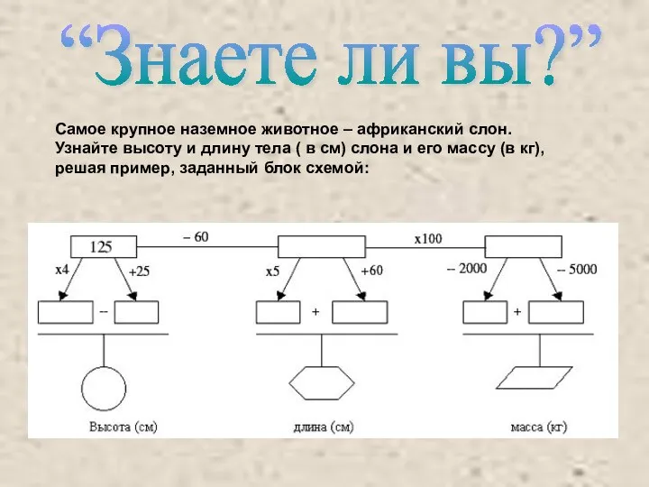 “Знаете ли вы?” Самое крупное наземное животное – африканский слон.