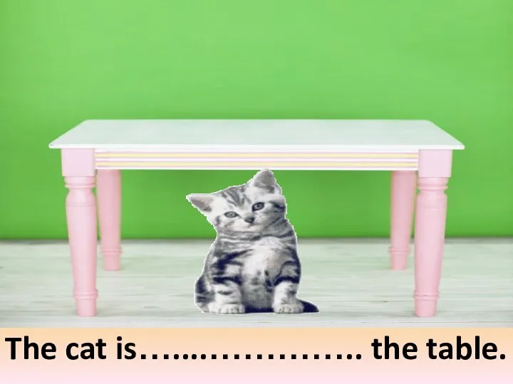 under The cat is…....………….. the table. under