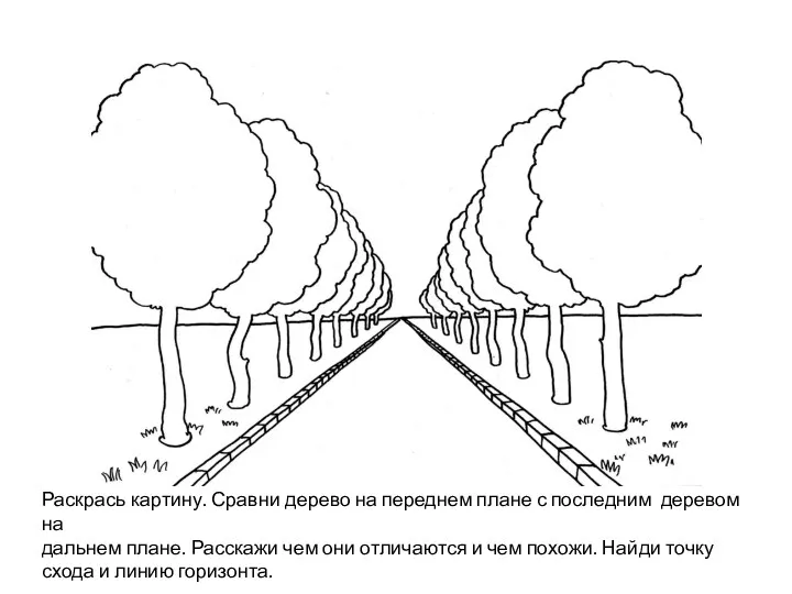 Раскрась картину. Сравни дерево на переднем плане с последним деревом на дальнем плане.
