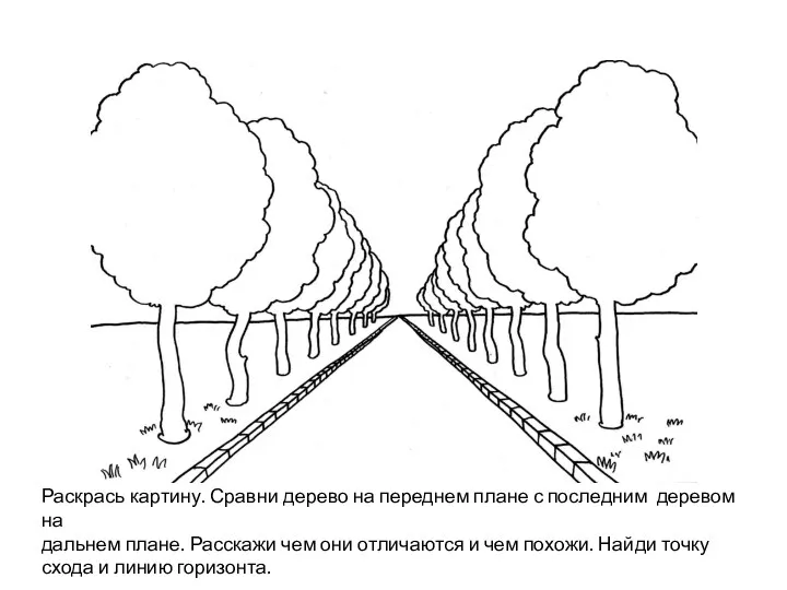 Раскрась картину. Сравни дерево на переднем плане с последним деревом