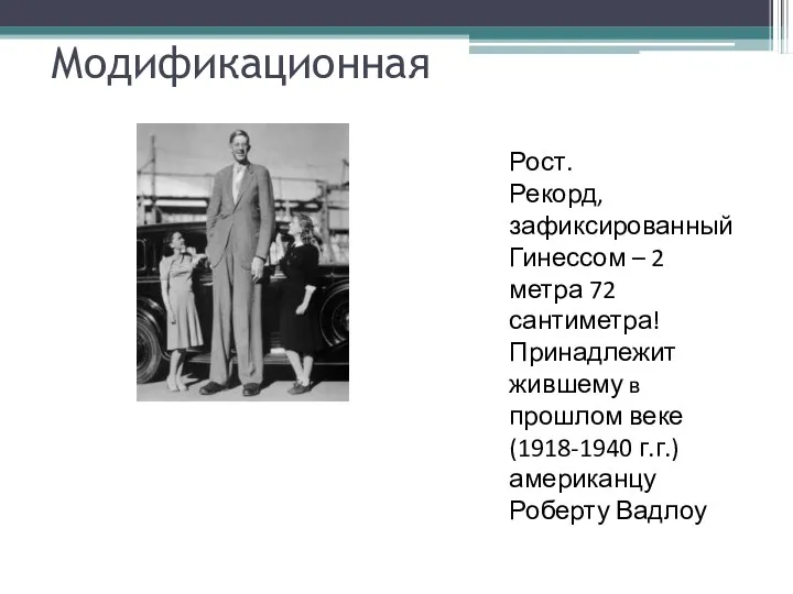 Модификационная Рост. Рекорд, зафиксированный Гинессом – 2 метра 72 сантиметра!