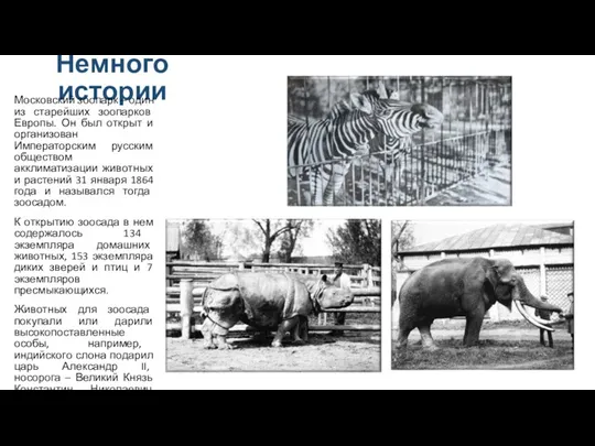 Немного истории Московский зоопарк – один из старейших зоопарков Европы.