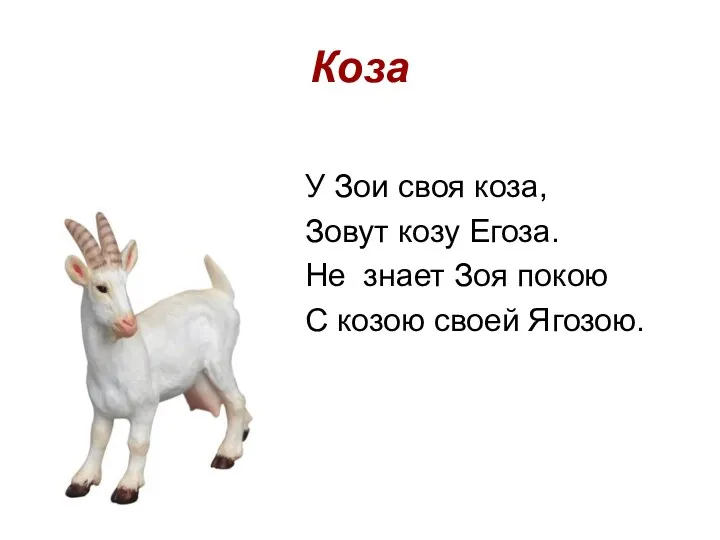 Коза У Зои своя коза, Зовут козу Егоза. Не знает Зоя покою С козою своей Ягозою.