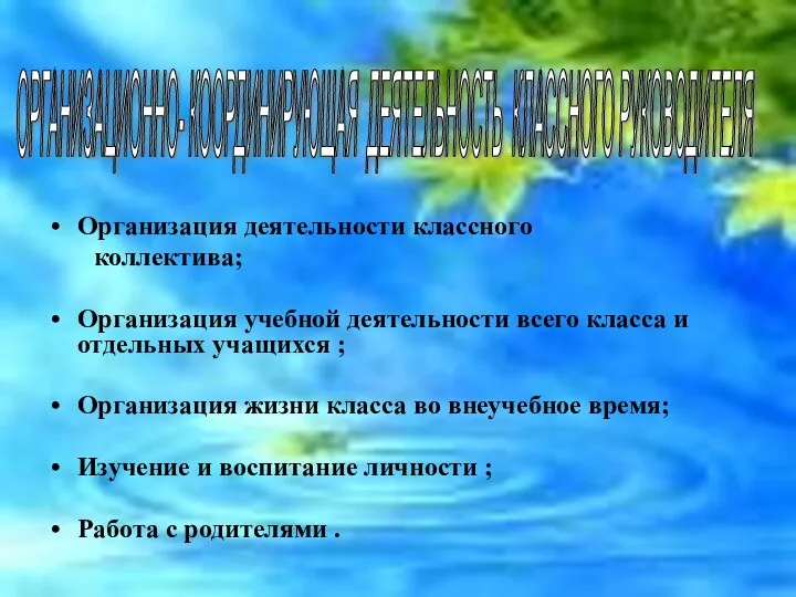 Организация деятельности классного коллектива; Организация учебной деятельности всего класса и