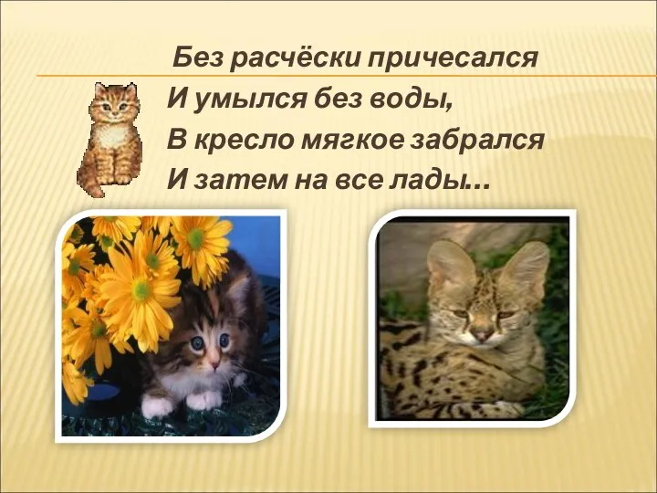 Без расчёски причесался И умылся без воды, В кресло мягкое забрался И затем на все лады…