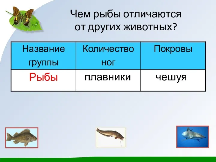Чем рыбы отличаются от других животных? плавники чешуя