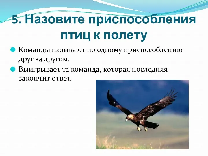 5. Назовите приспособления птиц к полету Команды называют по одному приспособлению друг за