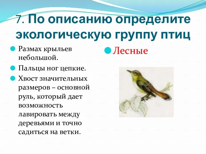 7. По описанию определите экологическую группу птиц Размах крыльев небольшой. Пальцы ног цепкие.