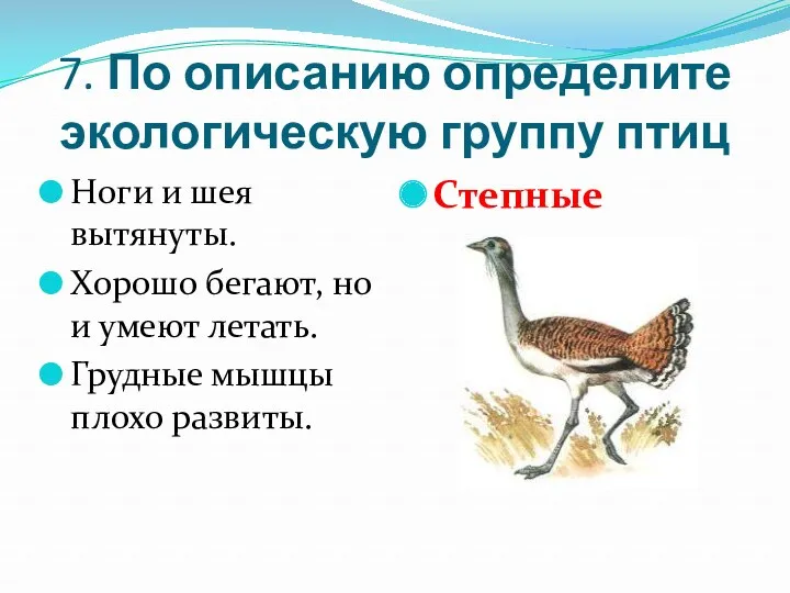 7. По описанию определите экологическую группу птиц Ноги и шея вытянуты. Хорошо бегают,