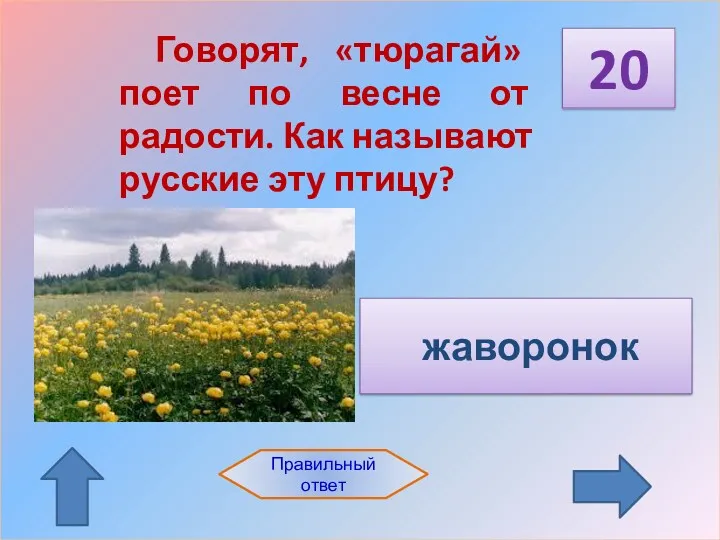 20 Правильный ответ Говорят, «тюрагай» поет по весне от радости. Как называют русские эту птицу? жаворонок