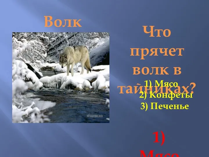 Волк Что прячет волк в тайниках? 1) Мясо 2) Конфеты 3) Печенье 1) Мясо