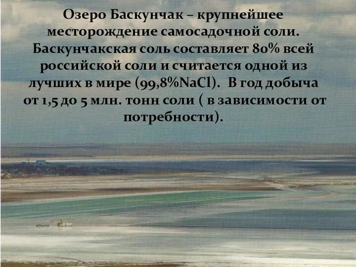 Озеро Баскунчак – крупнейшее месторождение самосадочной соли. Баскунчакская соль составляет 80% всей российской
