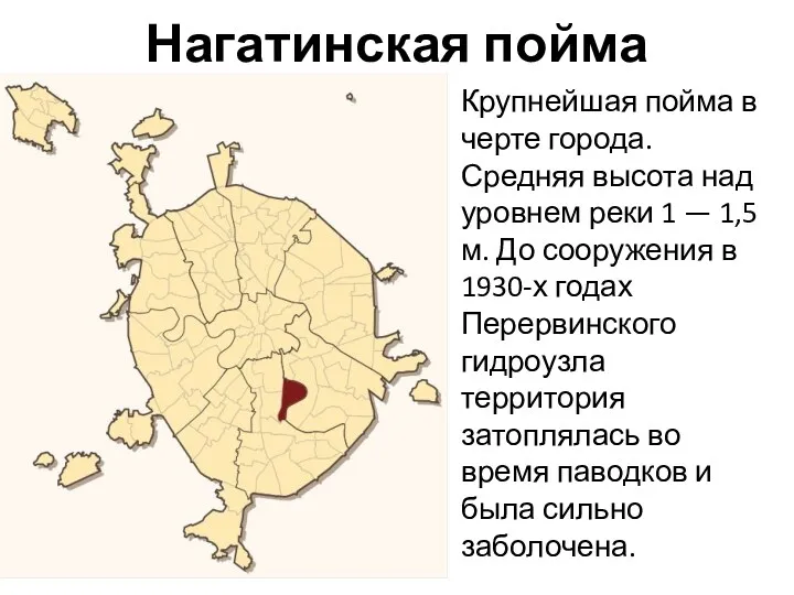 Нагатинская пойма Крупнейшая пойма в черте города. Средняя высота над